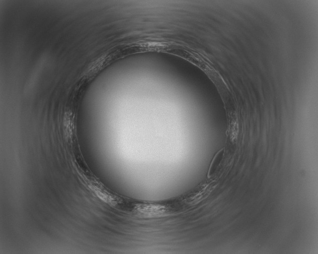 X0000082960476200702222345