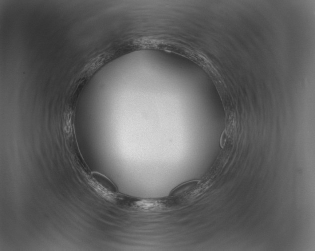 X0000082960477200702222345