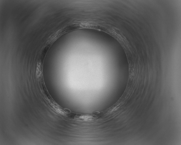 X0000082960478200702222345