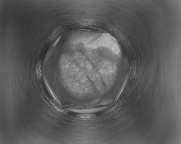 X0000082960479200702222345