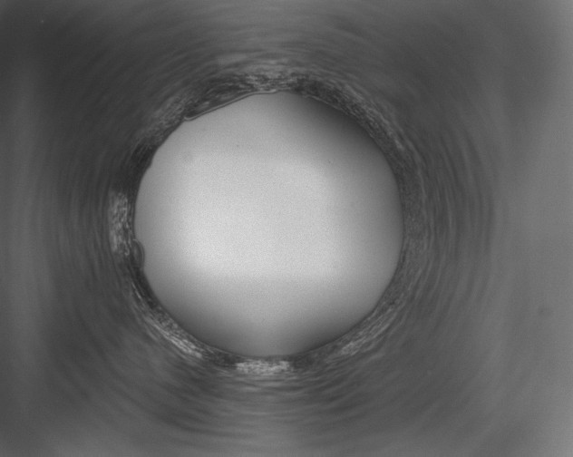 X0000082960480200702222345