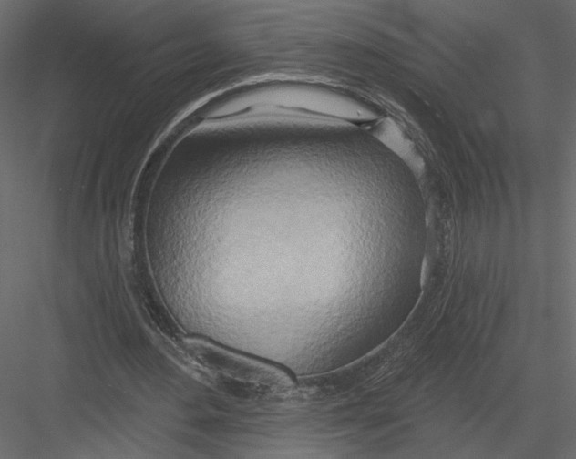 X0000082960484200702222344