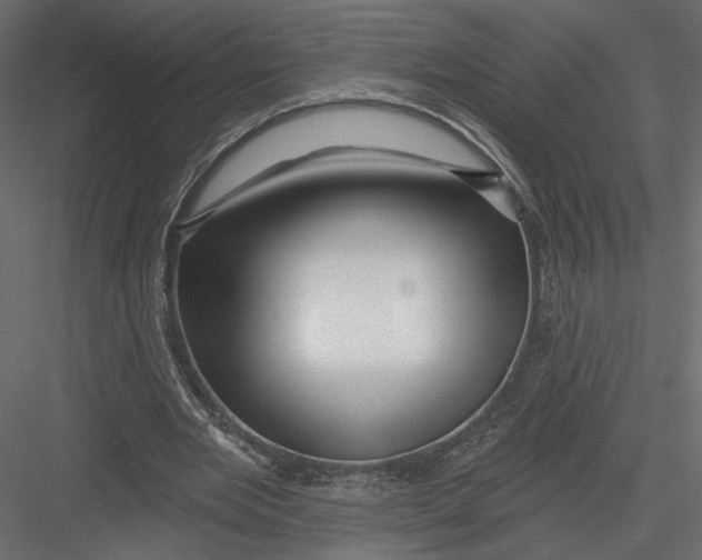 X0000082960485200702222344