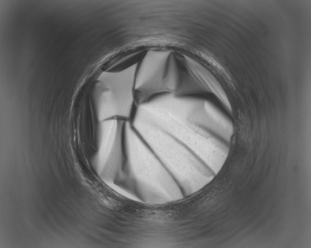 X0000082960486200702222344