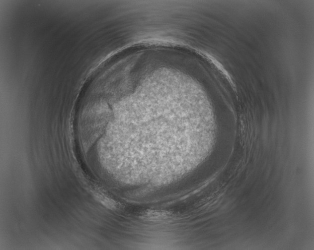 X0000082960487200702222344