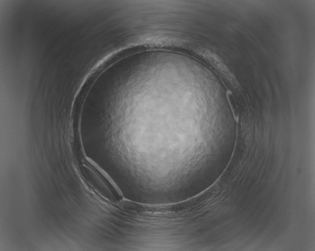 X0000082960488200702222344