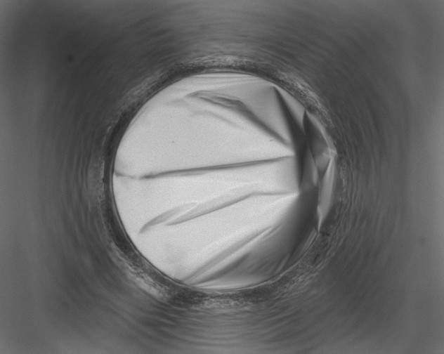 X0000082960490200702222344