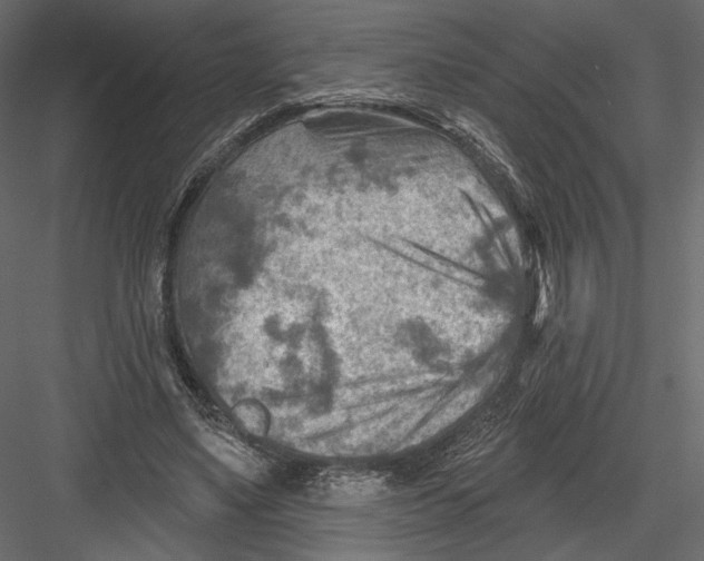 X0000082960491200702222344