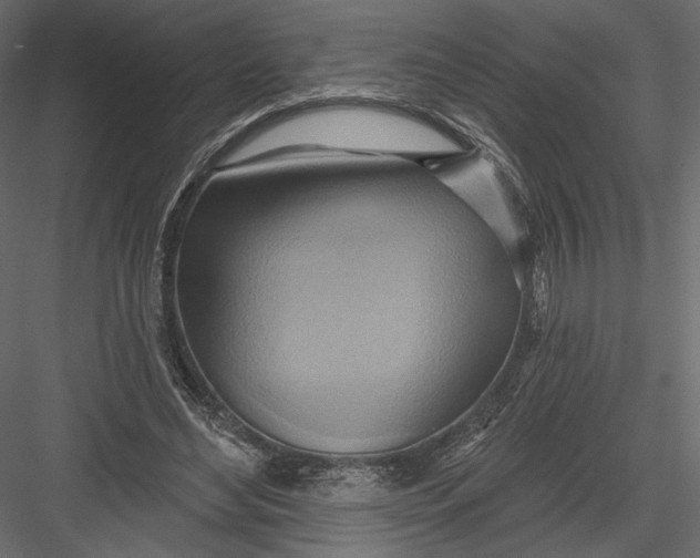 X0000082960492200702222344