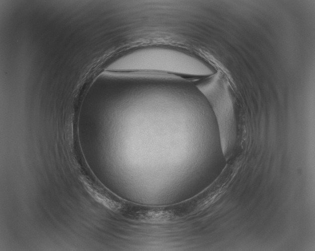 X0000082960493200702222344