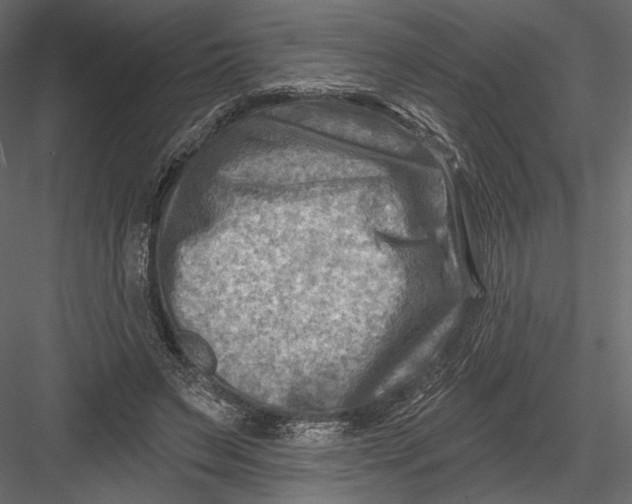 X0000082960495200702222344