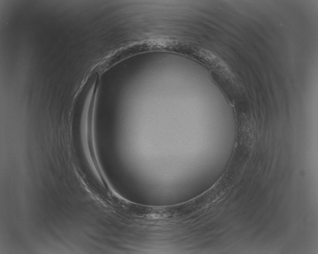 X0000082960496200702222344