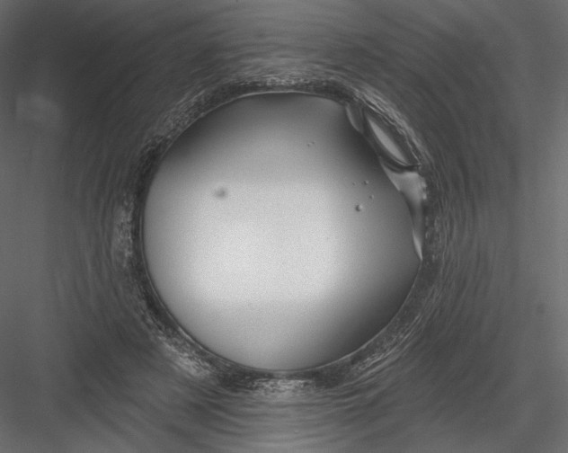 X0000082960497200702222344