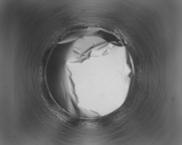 X0000082960498200702222344