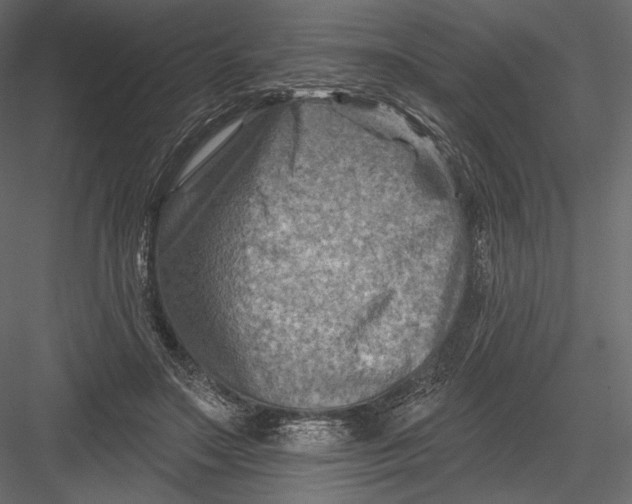 X0000082960499200702222344