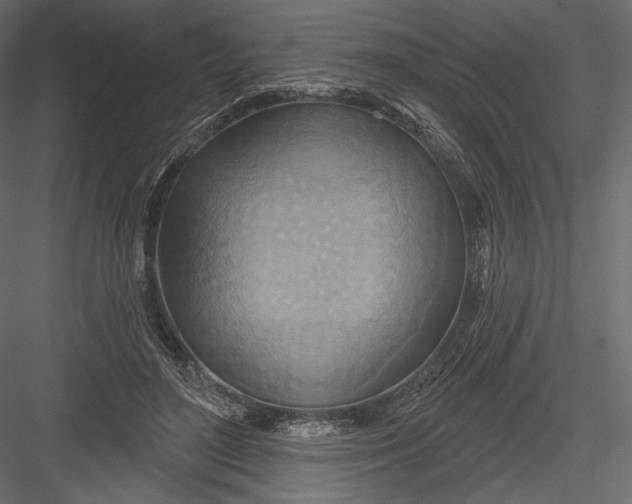 X0000082960500200702222344