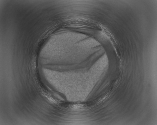 X0000082960501200702222344