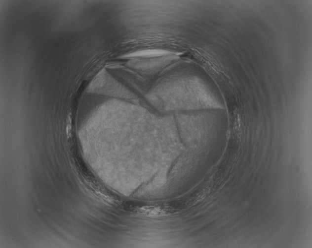 X0000082960502200702222344