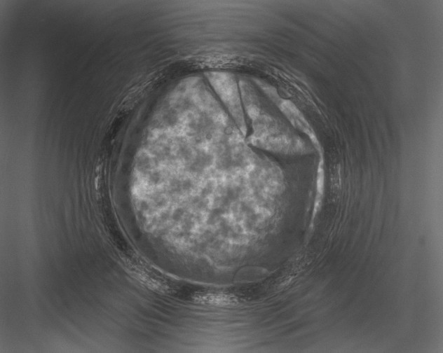 X0000082960503200702222343