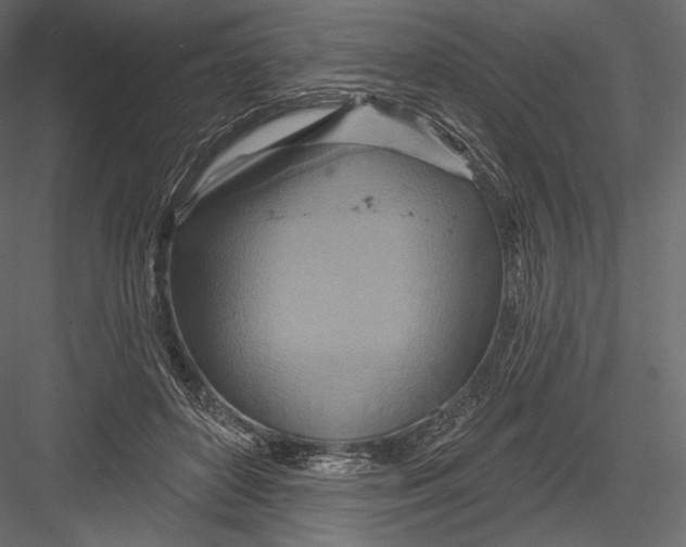 X0000082960504200702222343