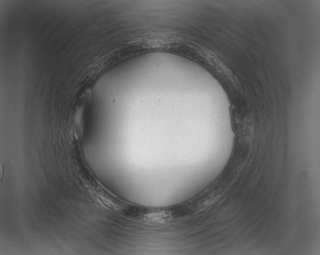 X0000082960505200702222343