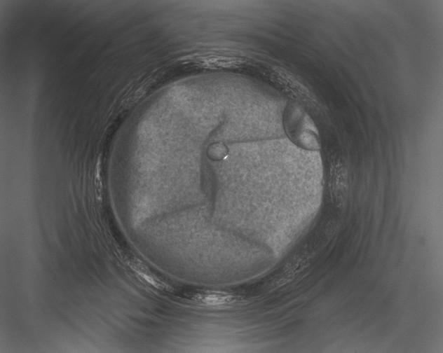 X0000082960506200702222343