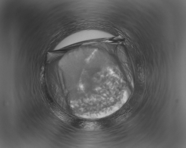 X0000082960507200702222343