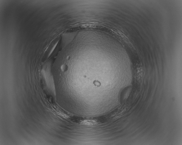 X0000082960508200702222343