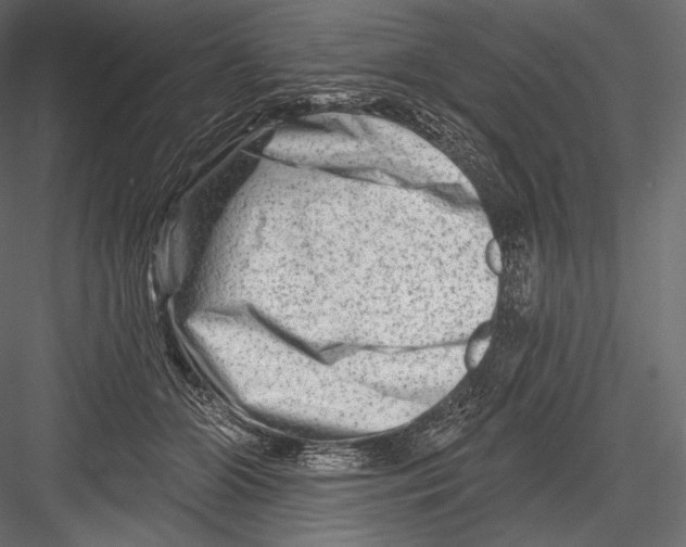 X0000082960510200702222343