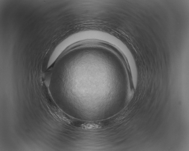 X0000082960512200702222343