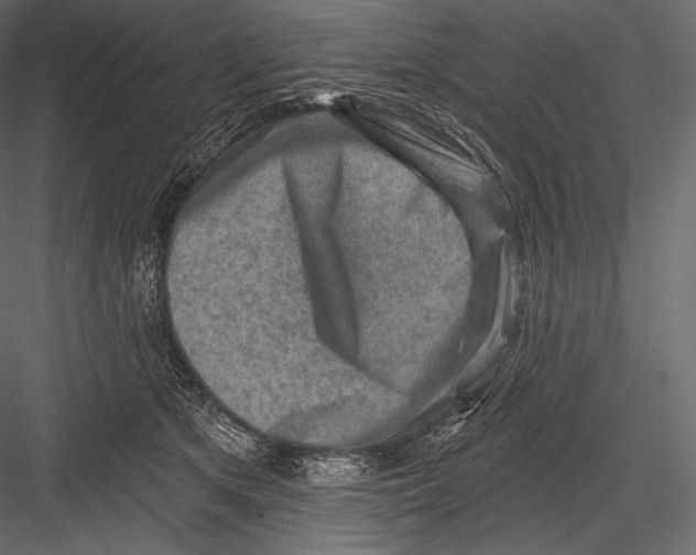 X0000082960513200702222343