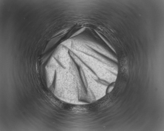 X0000082960515200702222343