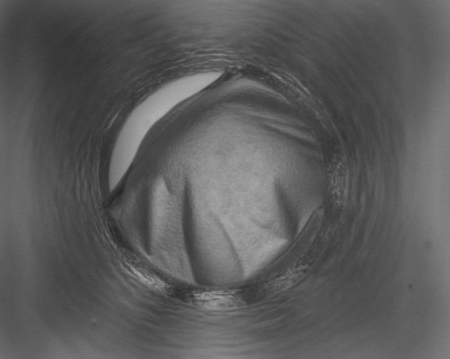 X0000082960516200702222343