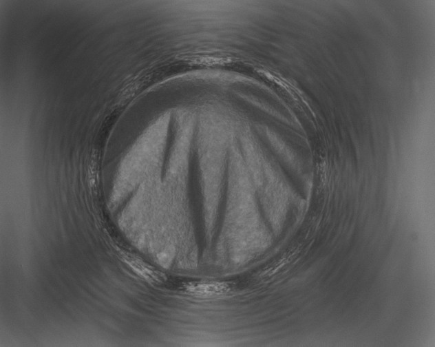 X0000082960517200702222343