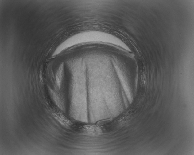 X0000082960520200702222343