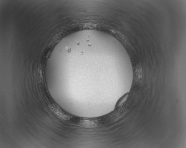 X0000082960522200702222343