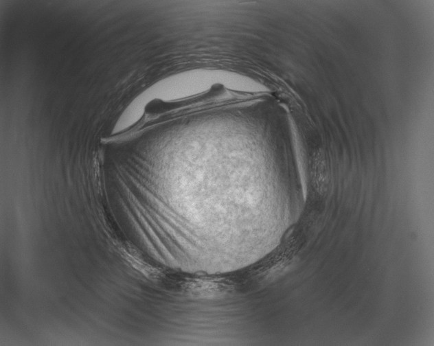 X0000082960523200702222343