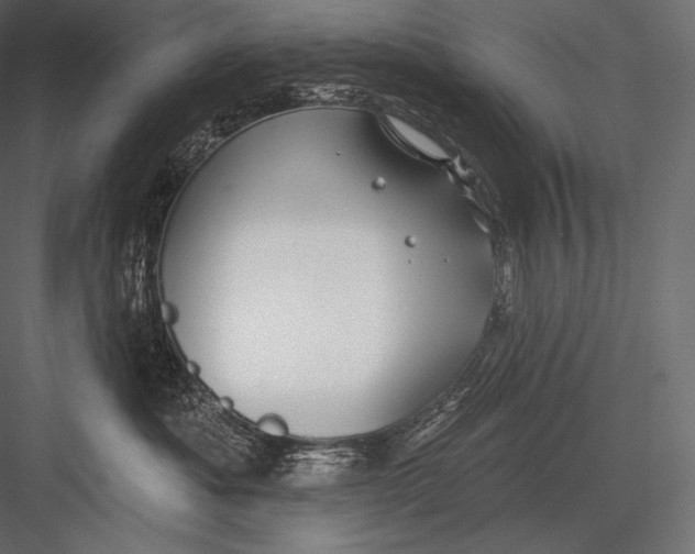 X0000082960525200702222343