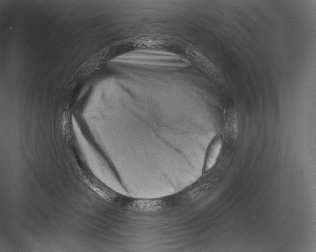 X0000082960526200702222343