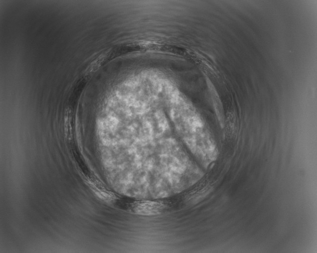 X0000082960527200702222343