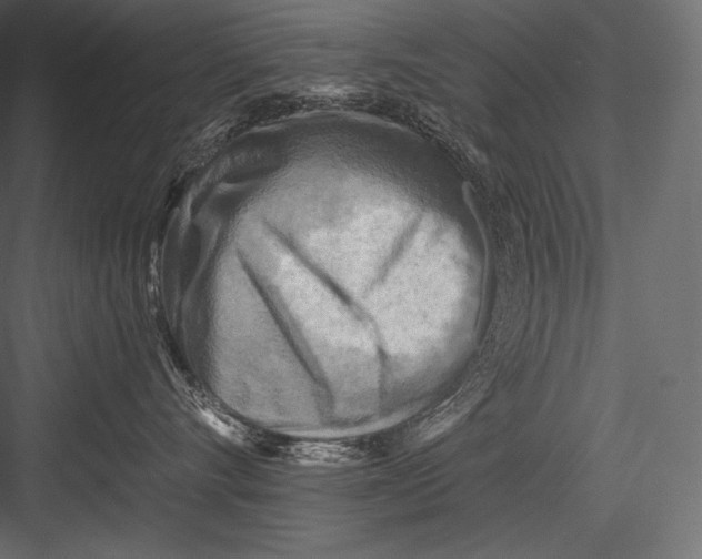 X0000082960528200702222343