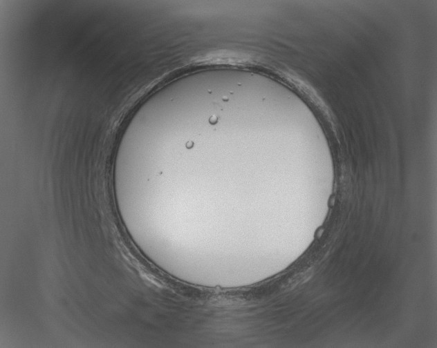 X0000082960529200702222342