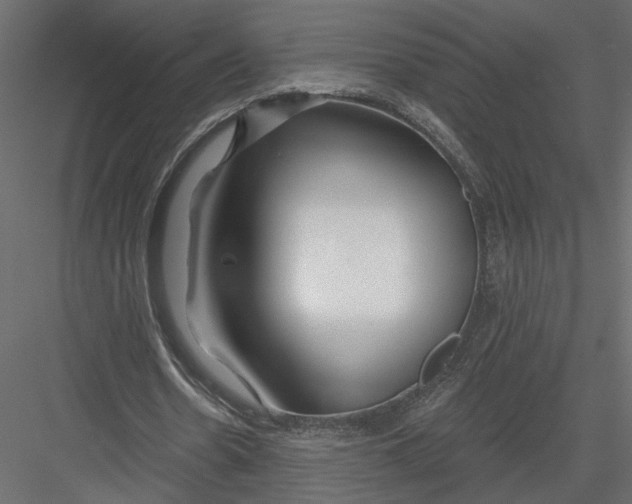 X0000082960530200702222342