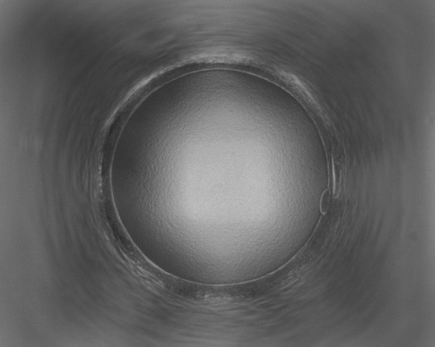 X0000082960531200702222342