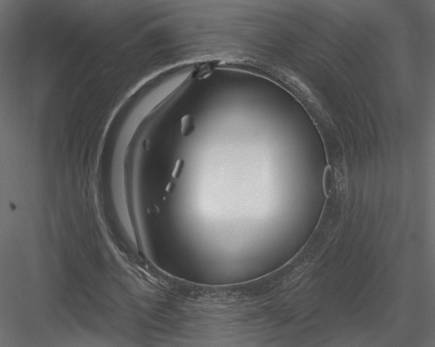 X0000082960532200702222342