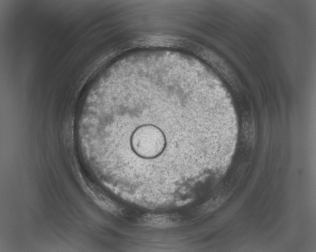 X0000082960534200702222342