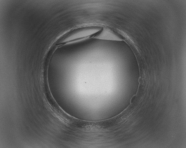 X0000082960535200702222342