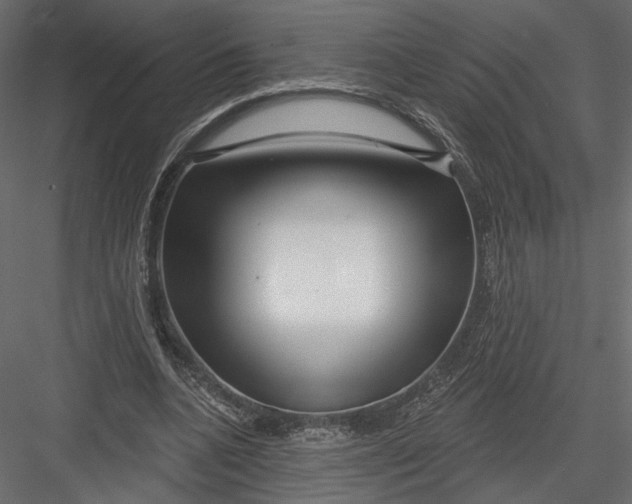 X0000082960536200702222342