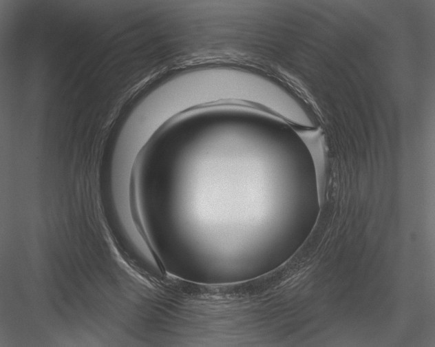 X0000082960538200702222342