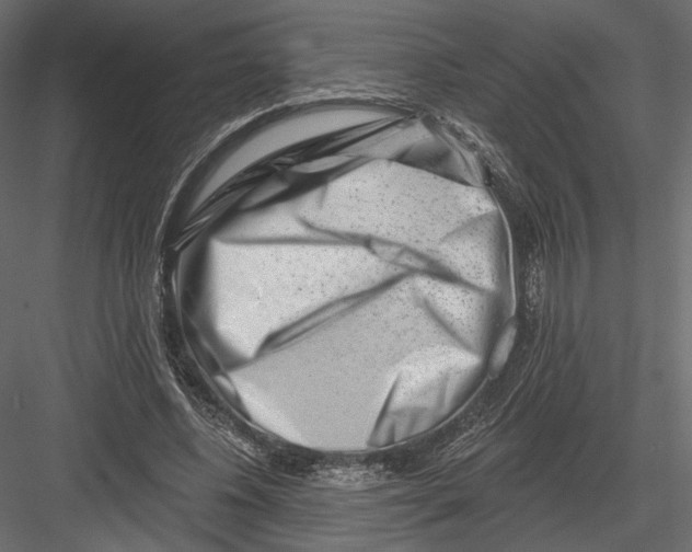 X0000082960540200702222342